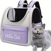 BABYYER Pet Cute Foldable Capsule Backpack for Small, Medium Cats, Puppies, Dogs, Transparent, Breathable, Heat Resistant Carry Bag - 2 of 4