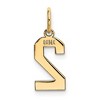 Black Bow Jewelry 14k Yellow Gold, Athletic Collection, Small Polished Number 2 Pendant - 3 of 4