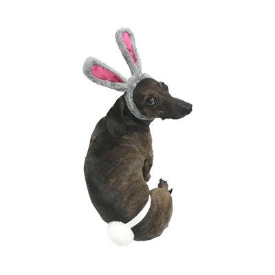 Midlee Easter Bunny Gray & Pink Dog Rabbit Ears with Tail (Small)