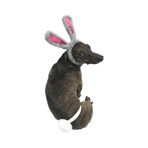 Midlee Easter Bunny Gray & Pink Dog Rabbit Ears with Tail (Small) - 1 of 4
