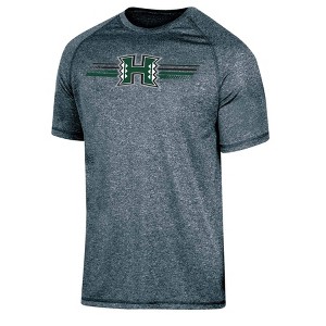 NCAA Hawaii Rainbow Warriors Men's Gray Poly T-Shirt - 1 of 3