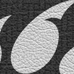cincinnati bearcats