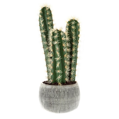 familie gereedschap Ondergedompeld Potted Cactus Fake Plant - 22-inch Artificial Hedge Cactus Succulent In  Clay Fiber Pot With Realistic Spikes For Home Or Office Decor By Pure  Garden : Target