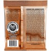Ernie Ball Earthwood Phosphor Bronze Custom Medium Acoustic Guitar String 12.5-56 - 2 of 2