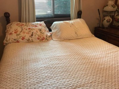 Guest review image 2 of 6, zoom in