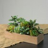 Northlight 11.5" Mixed Succulent Artificial Plants in Wooden Planter Box - Green/Brown - 2 of 2