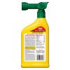 Dr. Earth Final Stop Yard & Garden Insect Killer Concentrate, Ready-to-Spray - 32 fl oz - 2 of 4