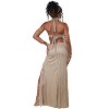 California Costumes Goddess of the Nile Women's Costume - 3 of 3
