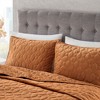 Sapphtopaz Bedding Comforter Set Elegant Velvet Cotton Geometric Quilting Quilt Set 3 Piece 1 Quilt, 2 Pillow Shams - 4 of 4