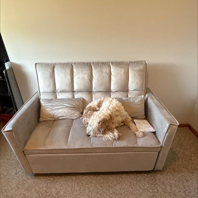 Guest review image 1 of 1, zoom in