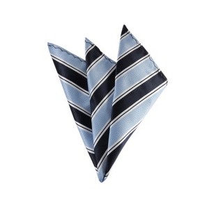 TheDapperTie - Men's Stripe Woven 10 Inch x 10 Inch Pocket Squares Handkerchief - 1 of 3