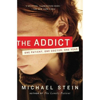 The Addict - by  Michael Stein (Paperback)