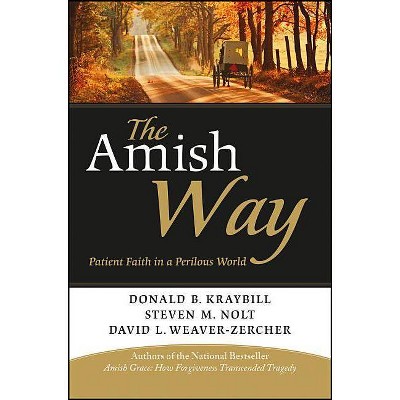 The Amish Way - by  Donald B Kraybill & Steven M Nolt & David L Weaver-Zercher (Paperback)