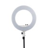 Impressions Vanity Dual Color Temperature LED Vanity Studio Ring Light (Warm to Cool White) by NG - 4 of 4