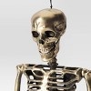 36" Posable Skeleton Halloween Decorative Prop Champagne - Hyde and EEK! Boutique™ - 3 of 3