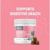 Pet Health Pros Dog Probiotic Chews for Dogs - Support Healthy Digestion Dog Probiotics and Digestive Enzymes for Gut Health - Small/Medium Breed Dogs - 2 of 4