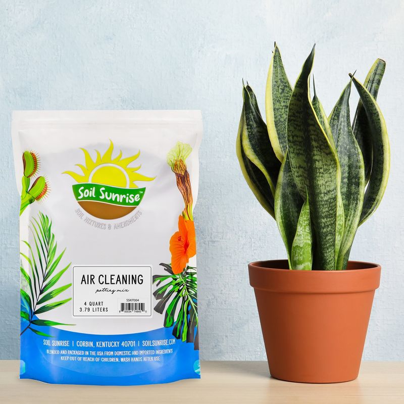 Soil Sunrise Air Cleaning Plant Potting Mix for Pothos, Parlor Palm, Peace Lily, 2 of 9