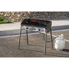 Camp Chef Yukon Two Burner Stove : Target