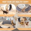 Large Silent 6-in-1 Cat Exercise Wheel with Cat House, Bowl & Shelf, 55'' Indoor Cat Running Wheel for Training-3irtyhousy - 3 of 4