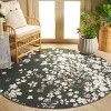 Adirondack ADR115 Non-Shedding Power Loomed Indoor Rugs - Safavieh - 2 of 4