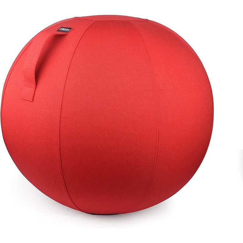 Bintiva Stability Ball with Felt Cover, 1 of 4