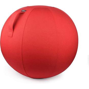 Bintiva Stability Ball with Felt Cover