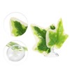 Unique Bargains Betta Fish Leaf Pad Hammock Plants for Fish Tank Green White 2.76"x2.76" - 3 of 4