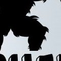 sasquats - black