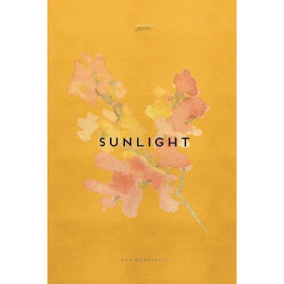 Sunlight - by  Amy Berryhill (Paperback)