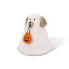 Plush Figurals Dog Pumpkin - Bullseye's Playground™ - 2 of 3