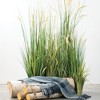 Sullivans Artificial Potted Dogtail Grass - 4 of 4