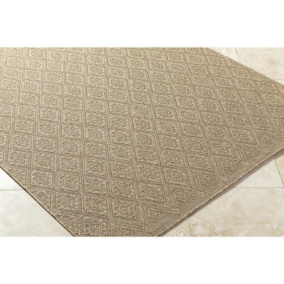 Hauteloom Bandit Living Room, Bedroom Patio Outdoor Area Rug - Traditional, Transitional