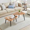 Danya B. 2pc 18.50"x29.5" Aurora Asymmetrical Modern Oval Teardrop Semi-Nested Modular Coffee Table Set - 4 of 4