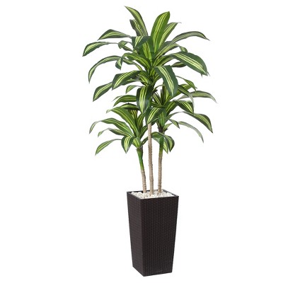 DR.Planzen UV Resistant Artificial 6-7FT Tall Pre Potted Dracaena Tree with White/Brown Tall Square Planter for Indoor Outdoor House Home Decor