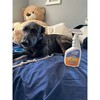 Urine Gone EnviroCare Surface Odor Remover Concentrate Set - 29.5 fl oz - 2 of 4