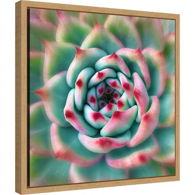 Deep Red Tips Succulent Canvas Print with Frame