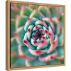 Amanti Art Deep Red Tips by Jan Bell Canvas Wall Art Print Framed 16 x 16-in. - 3 of 4