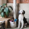Midlee Dog Toy Rope Cotton Basket - 4 of 4