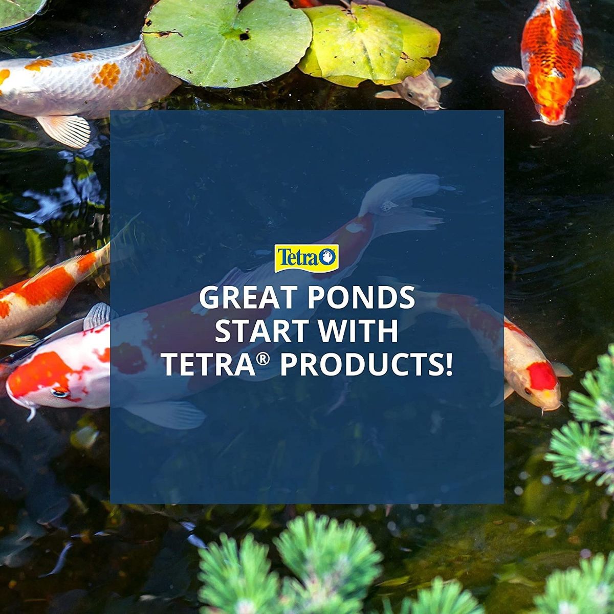 TetraPond Pond Sticks Fish Food for Goldfish and Koi, 1.72lbs - thumbnail 6