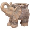 Northlight Elephant Outdoor Garden Planter - 13.75" - 4 of 4