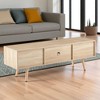 55" Rattan TV Cabinet with Double Sliding Doors, Modern Farmhouse Media Console with Adjustable Shelf and Solid Wood Legs for Living Room - 4 of 4