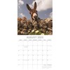 The Gifted Stationery 2025 Square Wall Calendar, Donkeys, 16-Month Animals Theme with 180 Reminder Stickers (12 x 12 In) - 3 of 4