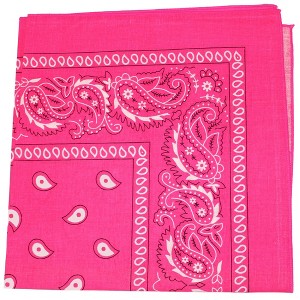 Pack of 200 Paisley Cotton Bandanas Novelty 22 in Headwraps - Wholesale - 1 of 1