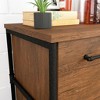 Lateral File, Brown finish - 4 of 4