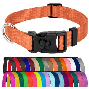Country Brook Petz Everyday Nylon Dog Collar - 1 of 4