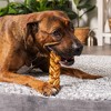 Pet Factory Made in USA Beefhide Braided Sticks - 4 of 4
