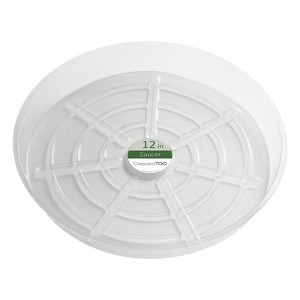 Crescent Garden 2 in. H X 12 in. D Plastic Plant Saucer Clear (Pack of 50) - 1 of 1