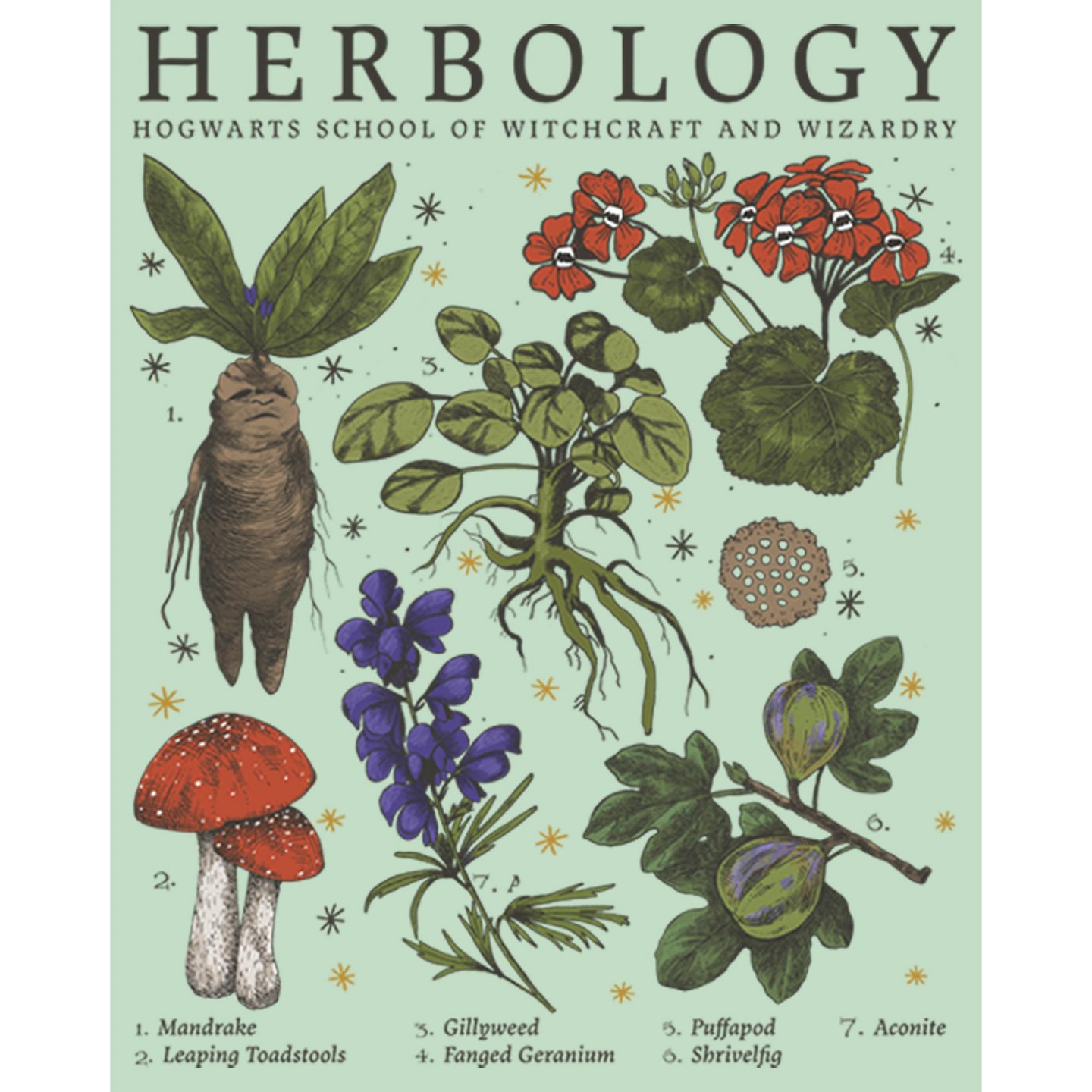 Футболка Harry Potter Hogwarts Herbology T-Shirt - Mint для девочек, цвет: Мятный — фото 2