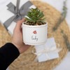 Pavilion Gift Company - Lucky - Ladybug - Mini 5" Indoor Artificial Succulent Plastic Potted Plant Planter Shelf Decor - 4 of 4
