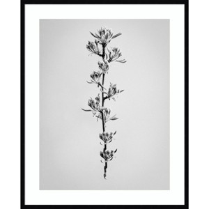 33" x 41" Amid The Flowers 59 by Teis Albers Wood Framed Wall Art Print - Amanti Art - 1 of 4